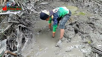 Mancing di spot nipah dan Merogoh rawa yang kering