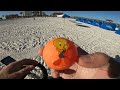 Metal Detecting Clearwater Beach | Minelab Equinox 600 Metal Detector