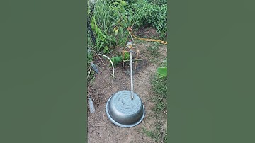 Knowledge Principle of Hydraulic Bird Repellent #Environmental Protection