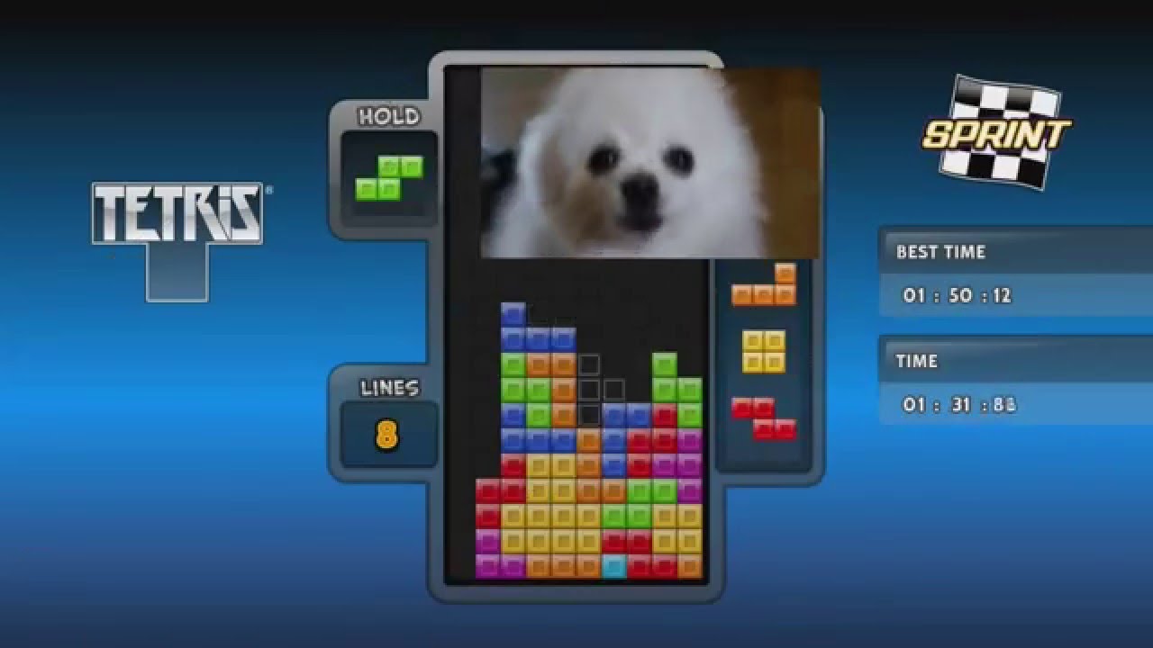 Ytpmv Tetris Main Theme Gabe The Dog Remix Youtube - gabethedog tetris code roblox youtube
