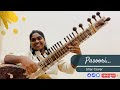 Pasoori song sitar cover  by geenadi risinima