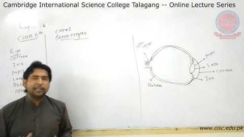 6th - [Science] - Lecture#4 - Muhammad Imran - CISC Online Lecture Series