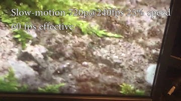 Dell P4317Q 43" Ultra HD 4K LCD Monitor - Backlight brightness PWM