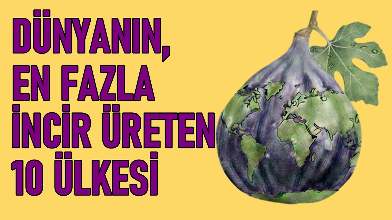 Dünyanın En Fazla İncir Üreten 10 Ülkesi! Türkiye'nin İncir Üretimi