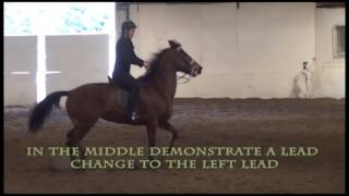 2016 WAHSET Pattern for Saddle Seat