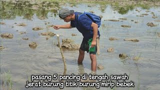 Put a bird bait point in the middle of the rice field & make something sweet 😭 screenshot 4