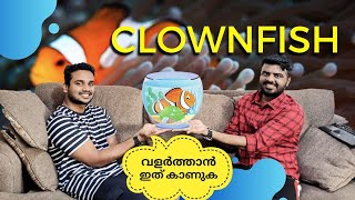 Clownfish aquarium | malayalam | marine aquarium | breeding | aquarium filters | J talks