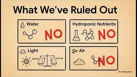 OSE 7.4 Lesson 3 Overview: Where Does a Tree