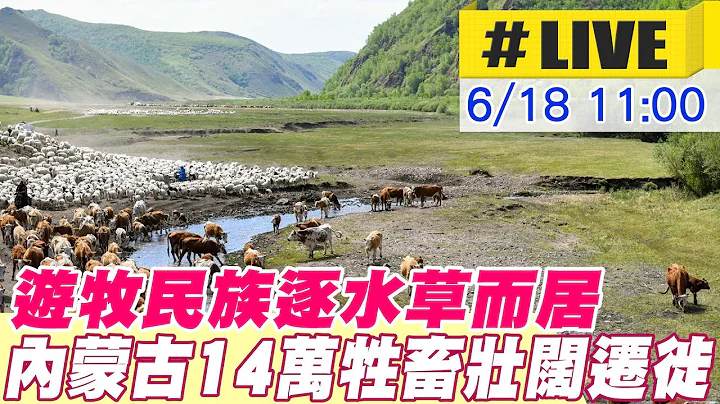 【中天直播#LIVE】遊牧民族逐水草而居 內蒙古14萬牲畜壯闊遷徙 20230618 @Global_Vision - 天天要聞