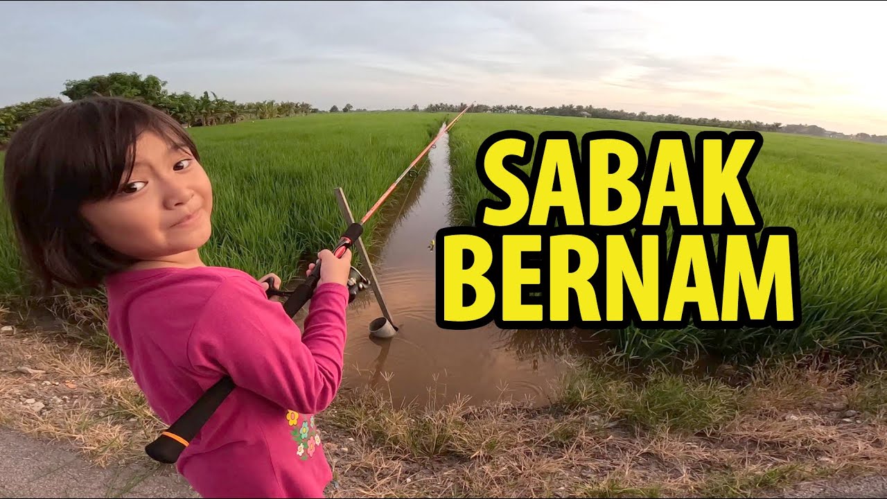 Cuti Cuti di Sawah Padi, Tangkap Ikan BELUT, Eksplorasi Sabak Bernam