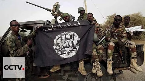 Nigerian President announces caputre of last Boko Haram stronghold