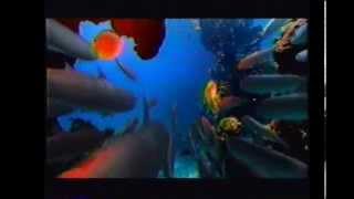 Optimax Gold "Fish" commercial (2001)