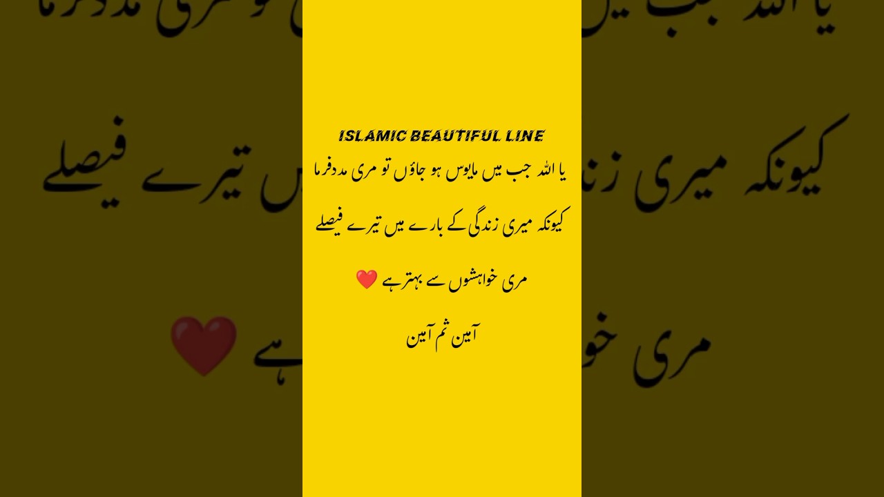 "Ya Allah" |Golden words in Urdu|Golden basic words|Beautiful Islamic line 