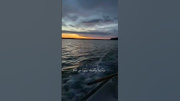 تلاوة من آل عمران  ‏ماهر المعيقلي  #quran #youtube #reels #edit #قرآن