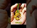 가지 삽목 20일 후 결과 🌱