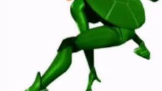 Dyi Escudo Do Carapace