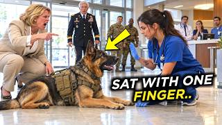 She's Just a Nurse, They Scoffed — Until a Combat K9 Took Orders From No One But Her