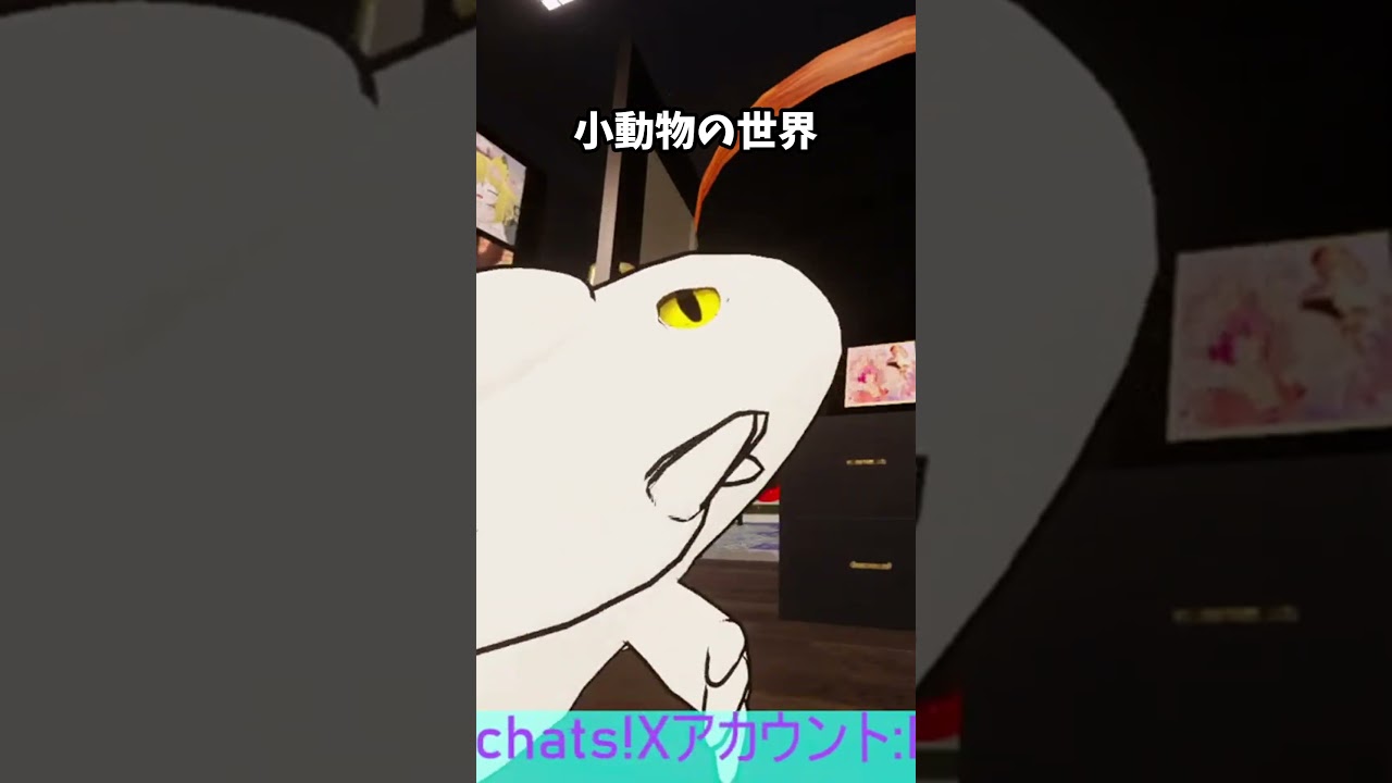 小動物の世界