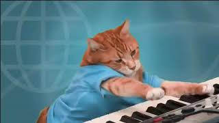 Кот Играет На Пиано Для (Музыкальных Пауз)