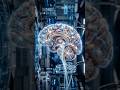 🧠 आपके दिमाग की छुपी हुई ताकत! | Amazing Brain Facts #shorts🇮🇳