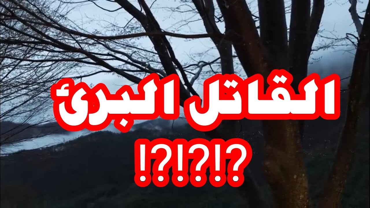 أغرب قصه من الجزائر ⁉️⁉️⁉️