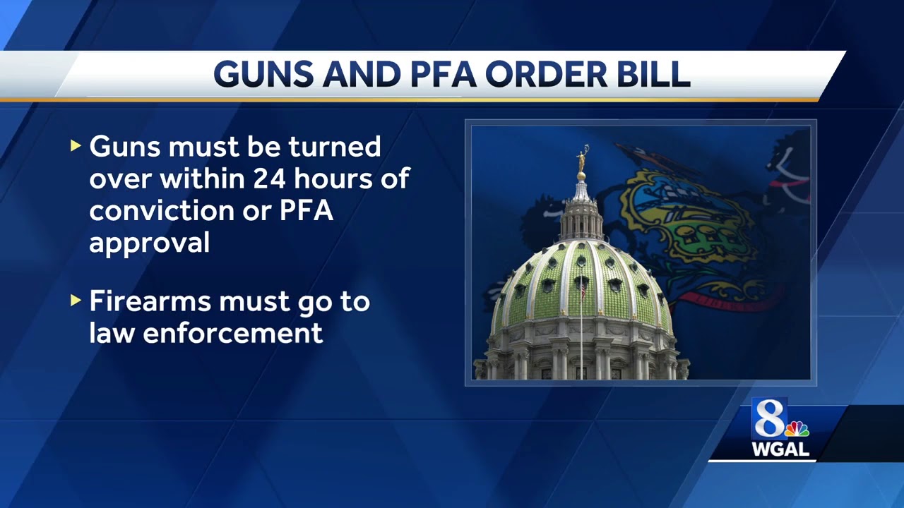 Pennsylvania to toughen gun laws in domestic violence cases