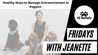 Healthy Ways to Manage Overexcitement in Puppies by 4E Kennels  238 views 10 months ago 30 minutes