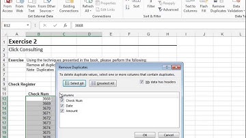 Excel University Volume 2 - Chapter 4 Remove Duplicates - Solutions