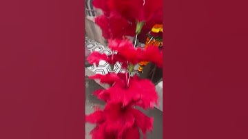 भगवान को चढाने के लिए पुष्प कैसे तोड़े ￼#shorts #pandit_pradeep_ji_mishra #pradeepmishra#shortsfeed