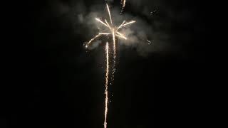Bumble 100 Shot Firework