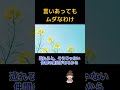 喧嘩せず#斎藤一人