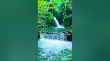 سورة مريم للشيخ عصام حمود تلاوة تقشعر البدن #اكسبلور #قرآن #قران_كريم #رمضان