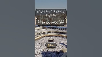 سورة الحج الآية ٤١ الى ٤٤ بصوت الشيخ محمد صديق المنشاوي