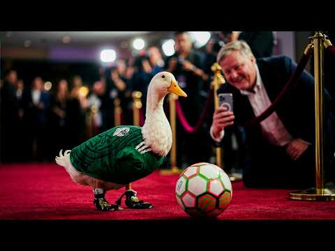 Por qué MÉXICO eligió a un pato y no a la FIFA