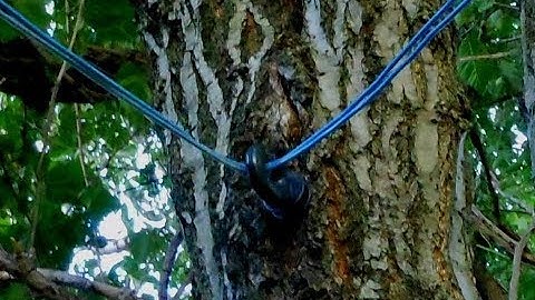 500 Foot Loop Antenna Update