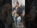 طبله ٢٣ ٨مسمار طبله شرقي رقص شعبي Tabla دربكه شرقي للتواصل01013306355 01065216760واتس 201013306355 