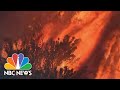 Powerful Wind Fuels California Wildfires, Tens Of Thousands Evacuate | NBC Nightly News