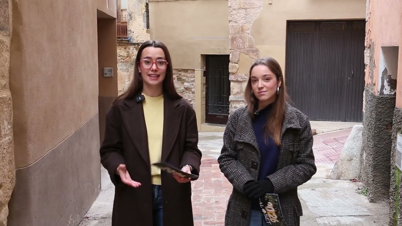 Programa Cap d'any 2026 TV Falset