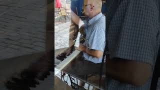 piano tuner sioni str. tbilisi