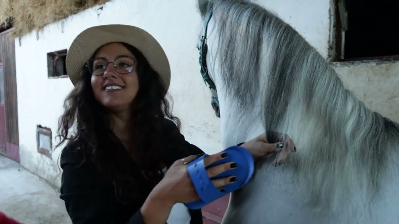 Moj savršeni ljubimac ep. 171 26.09.2022. Uroš Milinković, odgajivač konja