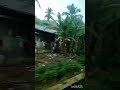 Kerala Naatudaya pasumayana Azhagu pachai niram#viral #Gods own country #happy🌴🎋🌳🥰🦋