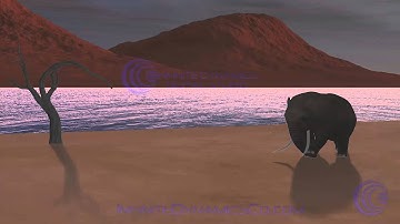 3D Elephant Modeling, Quadruped Rigging and Animation