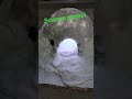 science project # Science project #trending #viral