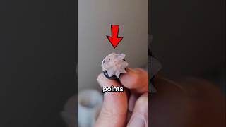 Why Do Geckos Cut Off Their Tails?