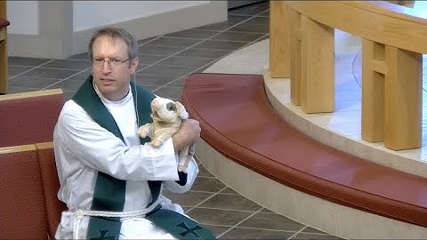 Plotinus (Tiny) the Pig - Fourth Sunday after Pentecost 2021