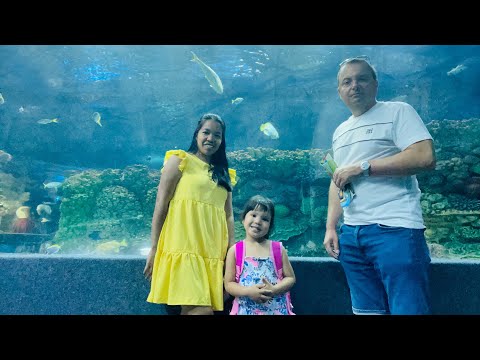 Nyiregyhaza Hungary | Aquarius Élményfürdő | Family Travel Vlogs