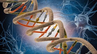 Unraveling Spinocerebellar Ataxia - Genetics and Beyond