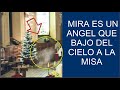 🔴HACE 13 MINUTOS:  #ANGEL ES CAPTADO EN VIVO&quot; MIENTRAS ARREGLABAN EL ALTAR DE MISA