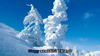 Video thumbnail of "Hull a pelyhes (Twinkle twinkle little star Christmas song)"