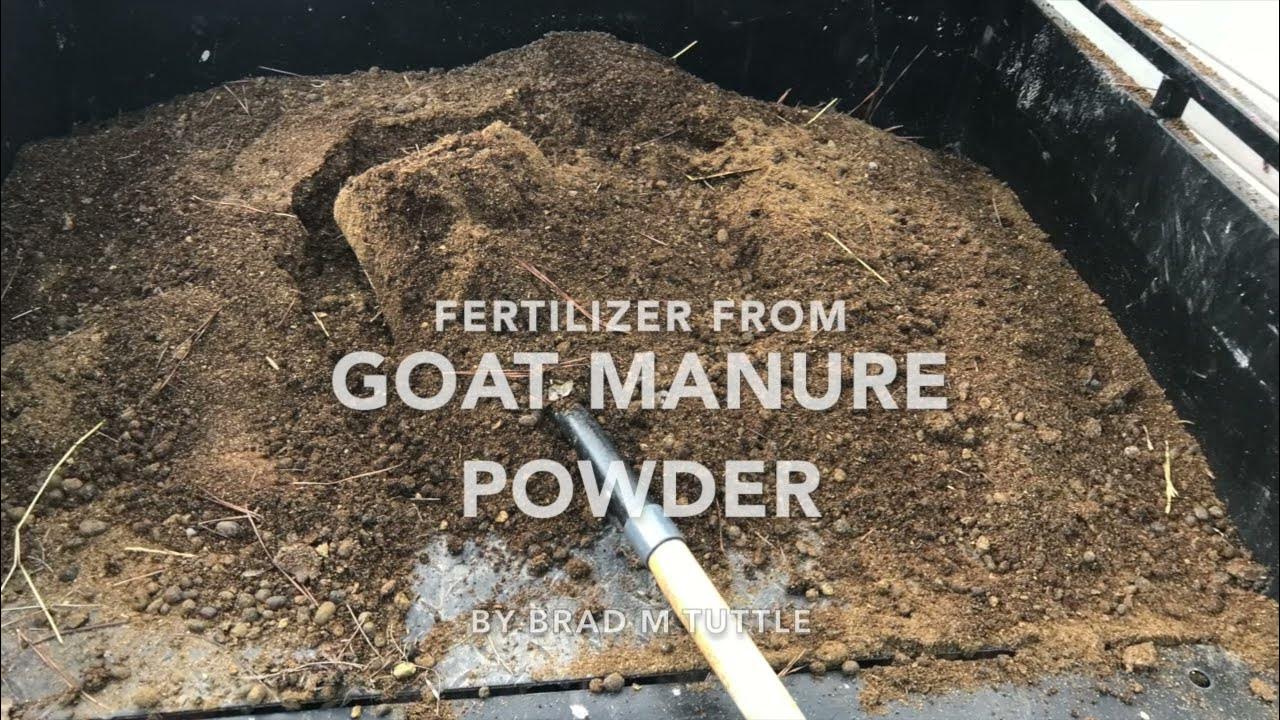 Powdered Goat Manure Fertilizer YouTube